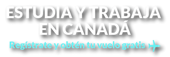 TituloVuelaGratisVGCNew TituloVuelaGratisVGCNew